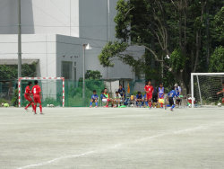 DSC00272[1].jpgのサムネール画像